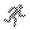 avatar for skaficianado
