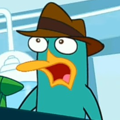 avatar for platkypus