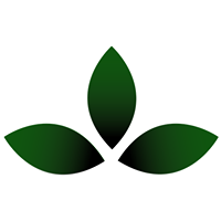 avatar for buddhistdoor@mastodon.social