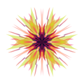 avatar for AliCircles