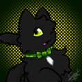 avatar for strnad