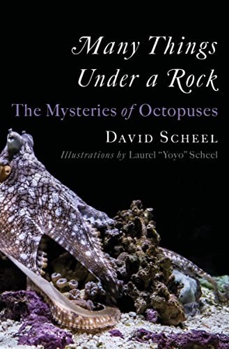 David Scheel, Laurel "Yoyo" Scheel: Many Things under a Rock (2023, Norton & Company Limited, W. W., W. W. Norton & Company)