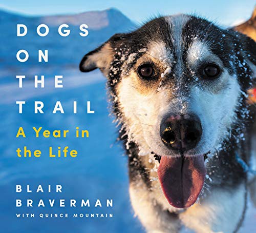 Blair Braverman, Quince Mountain: Dogs on the Trail (2021, Ecco)
